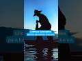 Un buen pescador siempre lleva una linterna #linternas #pescadores #barinas