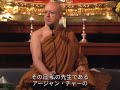 恐怖心からの解放|sin