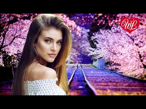 Пять Минут Хиты Шансона Для Танцпола Wlv Песня Зажигалка Russische Musik Russian Music Hits