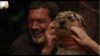 Famous RUBY SPARKS Trailer 2012 [HD] Profile