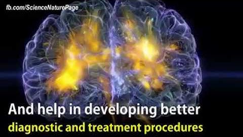 Most Realistic Brain Visualization