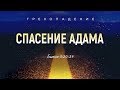 Бытие: 25. Спасение Адама (Алексей Коломийцев)