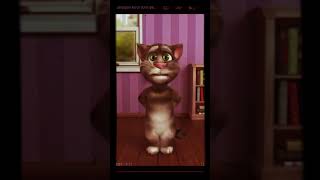 Konuşan Kedi Çocuk Videosu Şemle Şemle