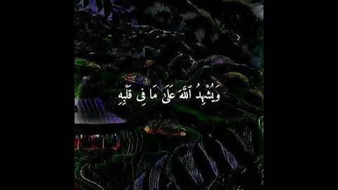 آيات من سورة البقره بصوت الشيخ فارس عباد