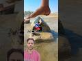 जान बचा के पानी में कूदा #shorts #short #youtubeshorts #viral
