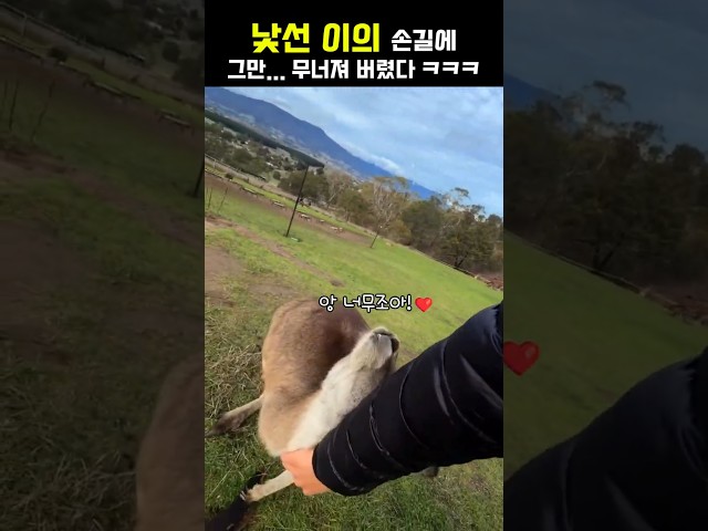 작은 손보단 큰 손이 시원하긴 하지 ㅋㅋㅋㅋㅋㅋ