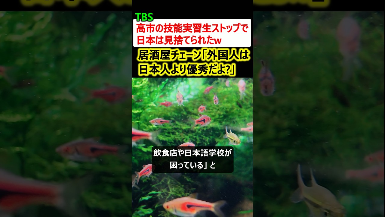 TBS「高市が技能実習生ストップw 外国人は日本人より優秀なのにw」→炎上