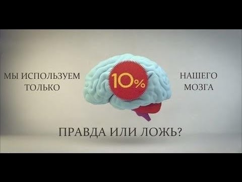 С.В. Савельев: Как заставить работать мозг