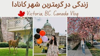 ولاگ شهر ویکتوریا در کانادا + مزایا و معایب زندگی در گرمترین شهر کانادا | Victoria, BC, Canada VLOG