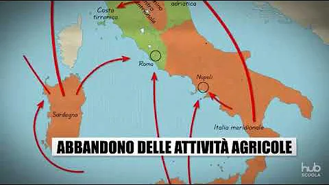 Quali sono i maggiori flussi migratori?