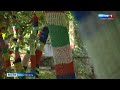 В Севастополе аллею деревьев нарядили в разноцветные гетры