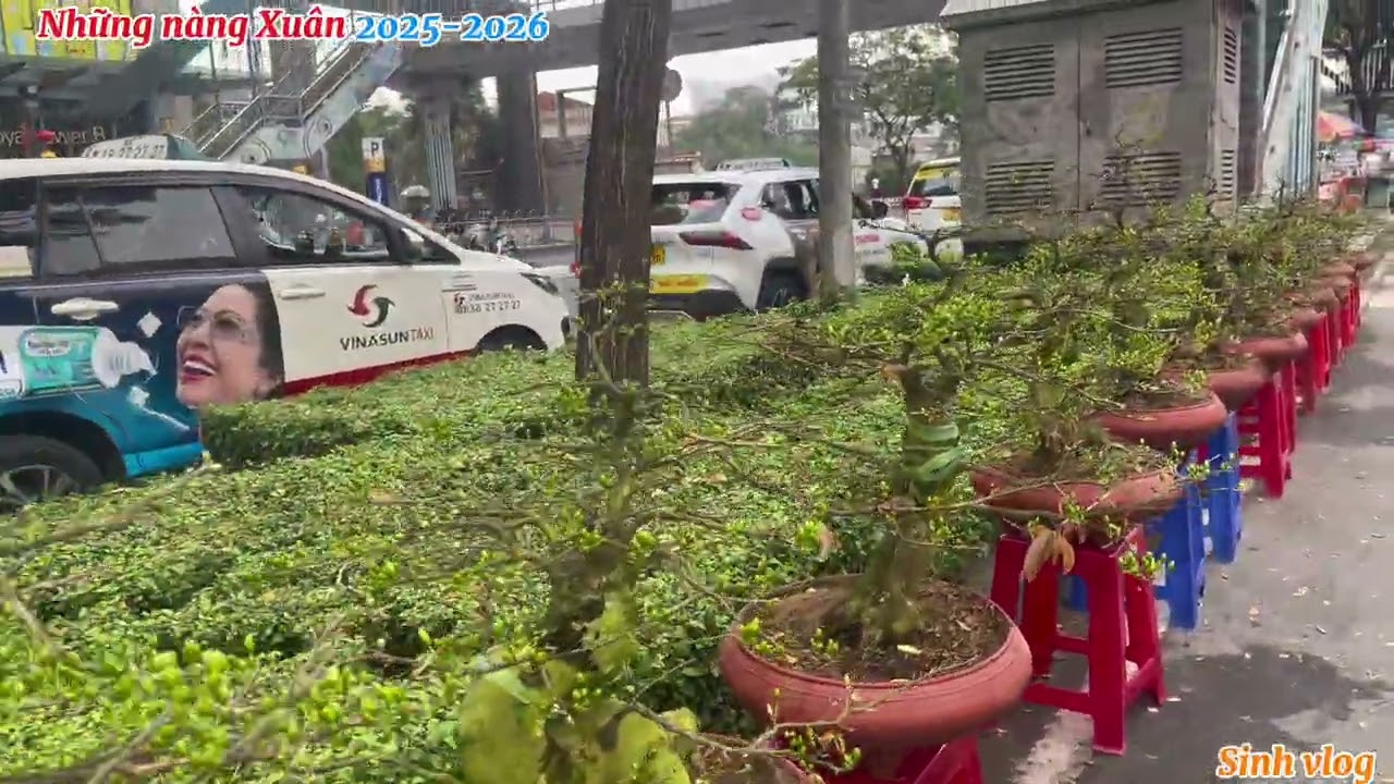 Những nàng Xuân Sài Gòn 2025-2026