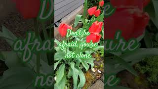 #Bible #God #Godisgood #Godislove #Lord #love #joshua #Jesuschrist #Jesus #Testament #Scriptures