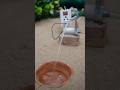 Mini Chaff Cutter Machine Project With Diesel Engine And water pump Hand Pump mini tractor #13