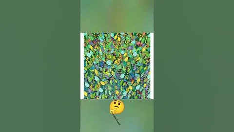 Optical illusion IQ test