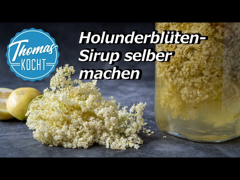 Video: 3 Möglichkeiten, Rum zu servieren