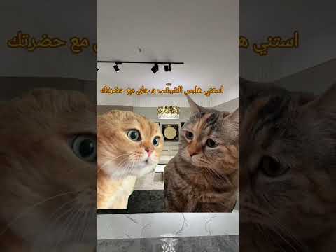 استني انا جاي معاك لايك  