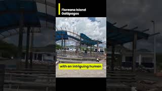 Floreana Island Galápagos - Embark on a journey to Floreana Island, where nature and history intertw