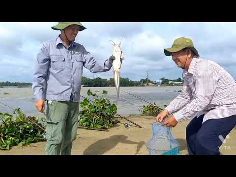 Video Điểm câu cầu Mỹ Lợi ngày cuối tháng 8. - youtube