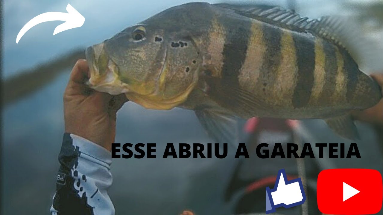 PESCARIA DE TUCUNARE AZUL ( VOCÊ IRÁ SE SURPREENDER)