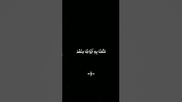 #القرآن_الكريم #راحة_نفسية #سورة_الحجر #هزاع_البلوشي #سورة #اكتب_شي_تؤجر_عليه #اكسبلور #quran #islam