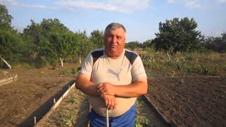Огурцы в июле. часть 8 Первые соцветия мучнистая роса(, 2015-08-17T11:20:59.000Z)