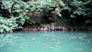 MOV00617.AVI