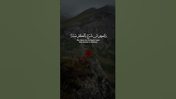 من كفر بالله من بعد إيمانه إلا من أكره و قلبه مطمئن بالإيمان || سورة النحل || القارئ: أحمد النفيس