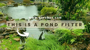 What is a bog filter?