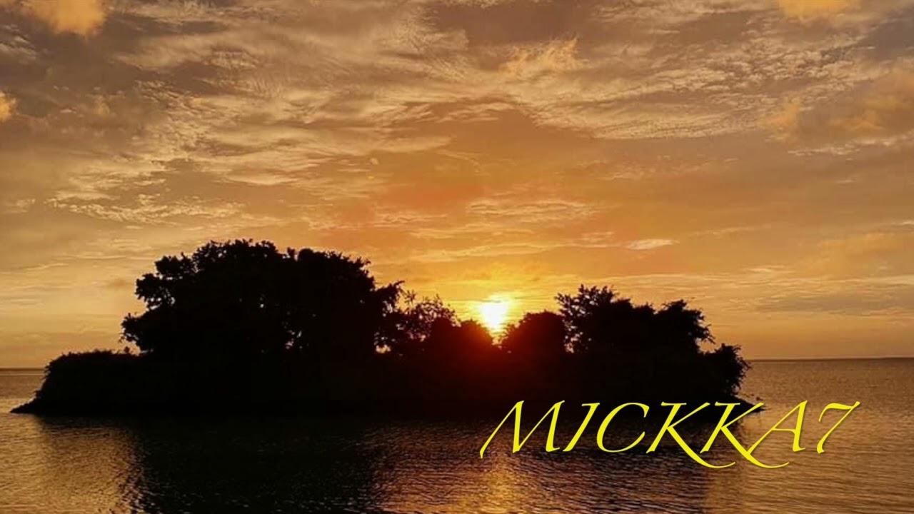 ALINA: MENGURS A NGURD