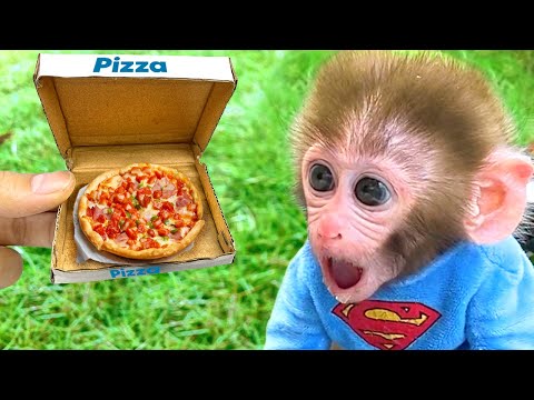 Monkey Baby Bon Bon and puppy eat mini pizza and play with duckling