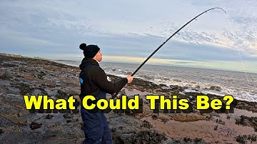 冬のタラに驚き！イギリス北東海岸の荒れた海で海釣り🎣