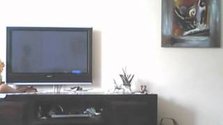 Capture 20120502 2