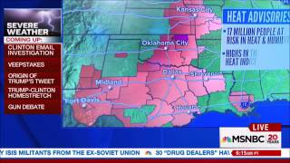 Bonnie Schneider MSNBC, July 5, 2016