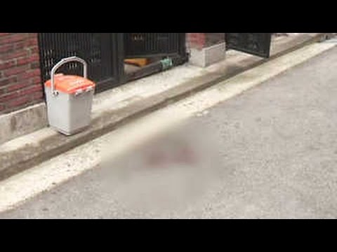 집앞서 흉기 찔려 숨져…이웃주민 용의자 체포