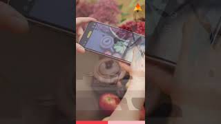 E-Ticarette Doğru Ürün Fotoğrafı Nasıl Çekilir?