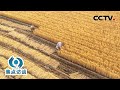 世界第一！中国22项全球重要农业文化遗产，有何独到之处？| CCTV「焦点访谈」20240201