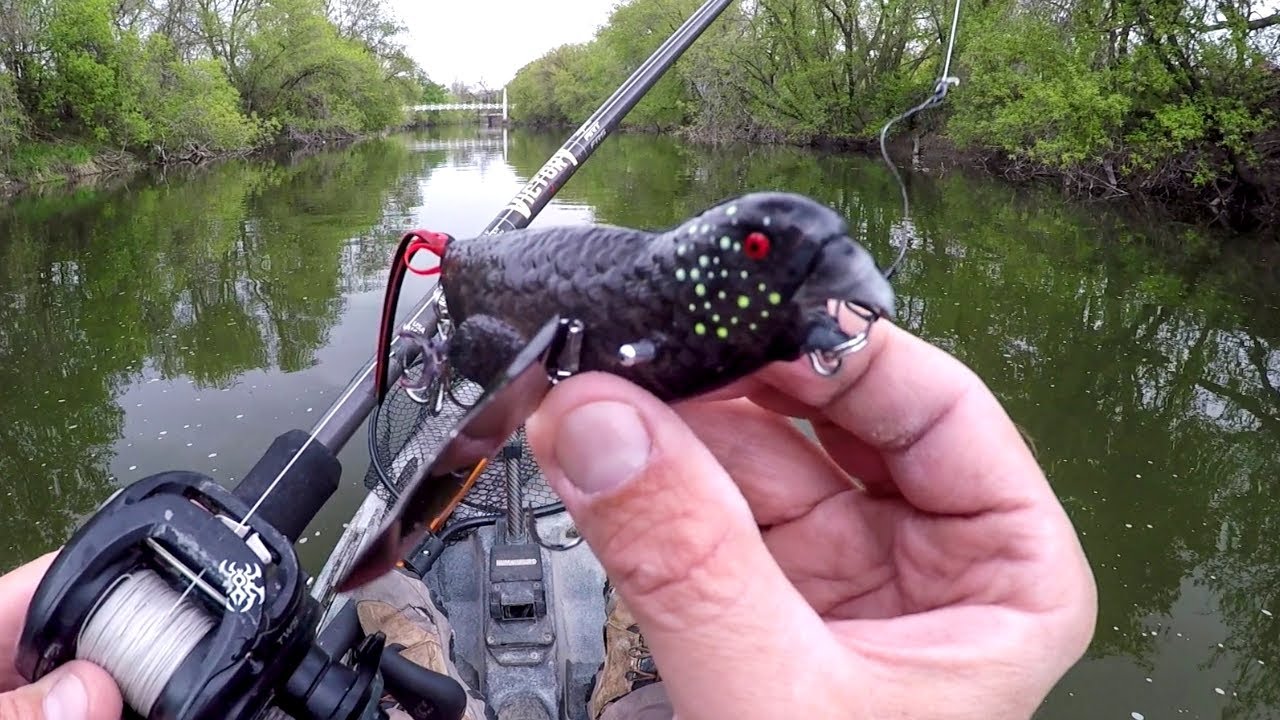 Eating Whatever I Catch.. Fishing a NEW Creek (Catch and Cook)