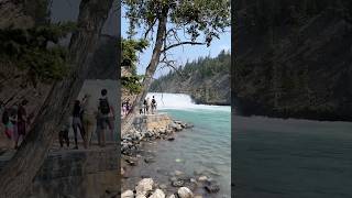 You won’t want to miss this peaceful walk in Banff - #shorts