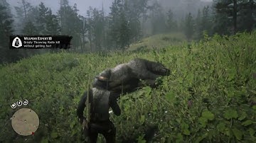 Red Dead Redemption 2 - Weapons Expert 10 - Kill A Grizzly With A Throwing Knife