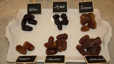 10 Best Types of Dates in Saudi Arabia