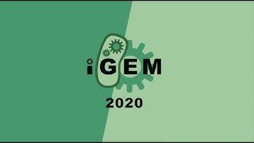 iGEM 2020 Activity Video