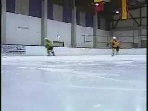 Baden Bruins AFN Story 2008