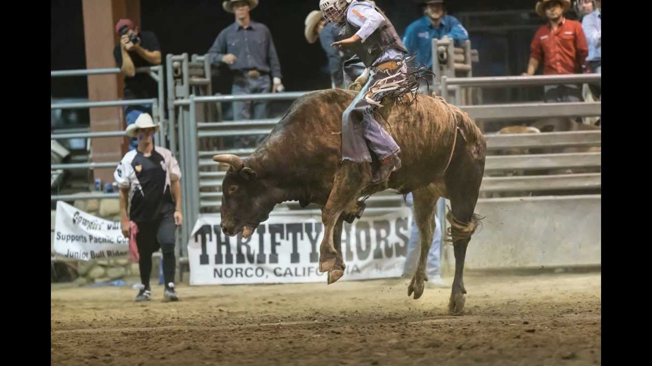 Norco Rodeo Bull Riding Clips YouTube