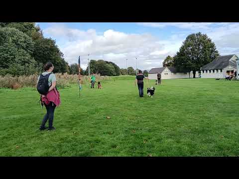 DDG Season 1: Pressure & Luring