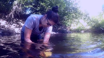 Temperature Logger Installation in Secwepemc Territory