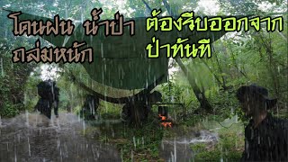 โดนฝนถล่มหนักในป่าริมลำธาร น้ำป่ามาต้องรีบออกจากป่าทันที ด้านมืดของป่า