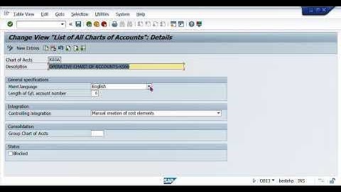 24. Define GL Accounts Groups T-OBD4