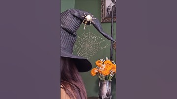 I shaped thin wire into a spiderweb and carefully sewed it onto my witch hat 🧙‍♀️ What do you think?