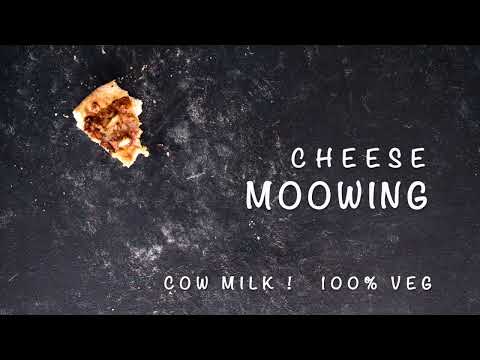 Moowing Cheese Meals